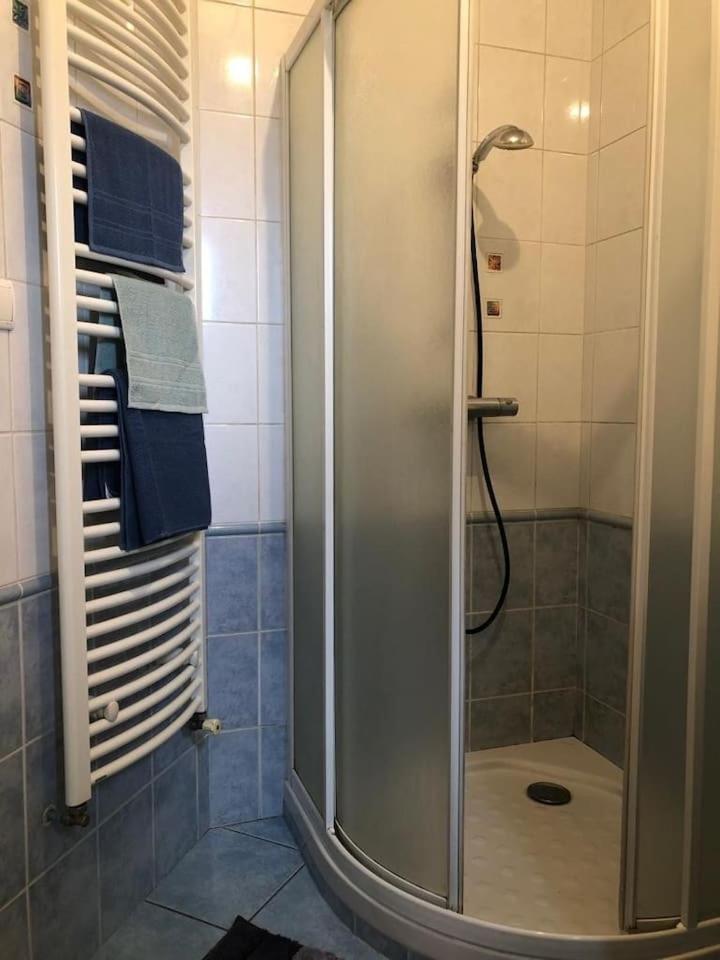 Appartement Cosy Saint-Etienne  Eksteriør bilde